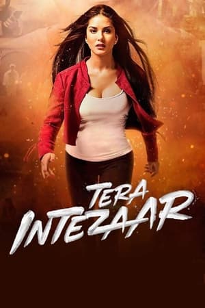 Tera Intezaar 2017 Movie [850MB] HD Poster Download - Filmyzilla