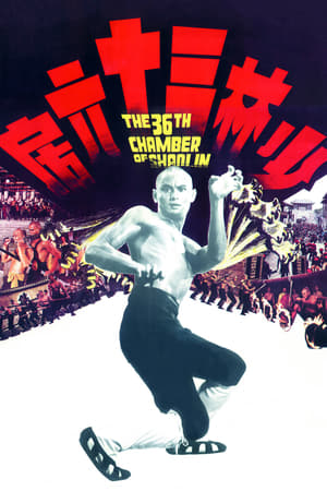 the 36th Chamber of Shaolin 1978 Hindi Dual Audio 360MB HD Poster Download - Filmyzilla