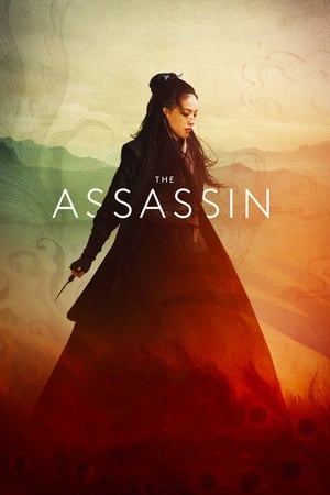 The Assassin 2015 Hindi Dual Audio 300MB HD Poster Download - Filmyzilla