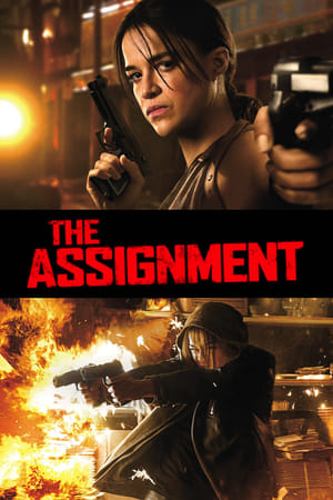The Assignment (2016) Hindi Dual Audio 300MB HD Poster Download - Filmyzilla