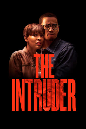 The Intruder (2019) Hindi Dual Audio 350MB HD Poster Download - Filmyzilla