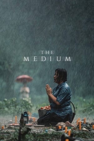 The Medium (2021) Hindi Dual Audio – HD Poster Download - Filmyzilla
