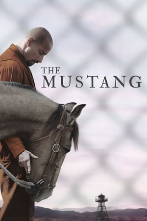 The Mustang (2019) Hindi Dual Audio [900MB] HD Poster Download - Filmyzilla