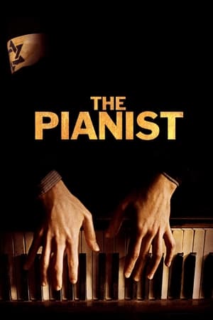 The Pianist (2002) Hindi Dual Audio 450MB
