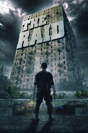 The Raid: Redemption (2011) Hindi Dual Audio [900MB] ESubs HD Poster Download - Filmyzilla