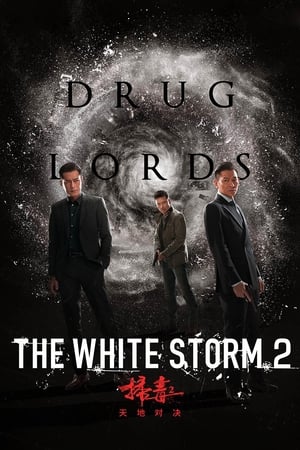 The White Storm 2: Drug Lords (2019) Hindi (Org) 300MB HD Poster Download - Filmyzilla