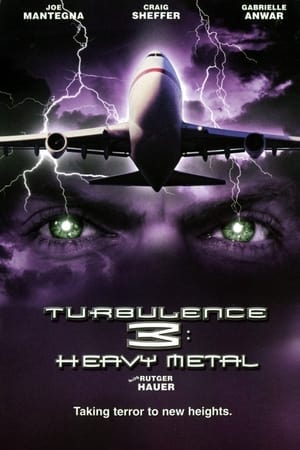 Turbulence 3 Heavy Metal 2001 Hindi Dual Audio [1GB] HD Poster Download - Filmyzilla