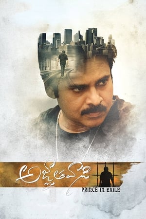 Yevadu 3 (Agnyaathavaasi) 2018 Movie Dual Audio Hindi [1.5GB] HD Poster Download - Filmyzilla